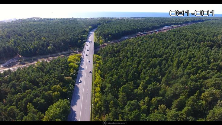 The road through the green forest – Drone Aerial Photography, Videography Serv...