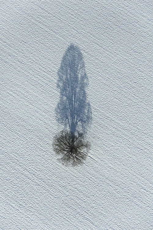 dontrblgme: Shadow Tree (via Aerial Photography) on est pas loin de la traînée...