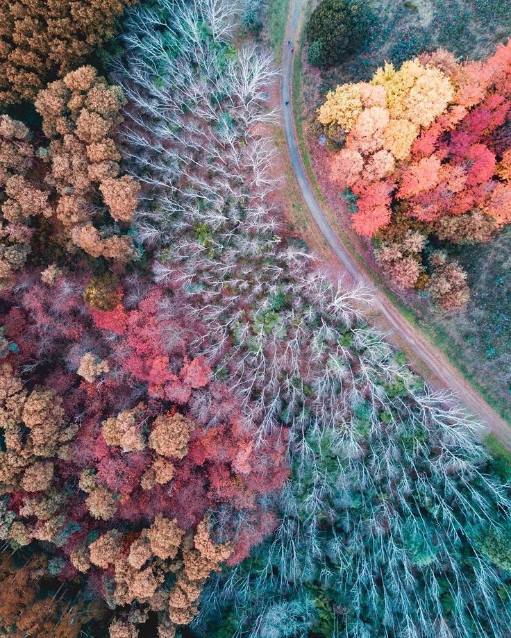 Australia From Above: Magnificent Drone Photography by Peter Yan #inspiration #p...