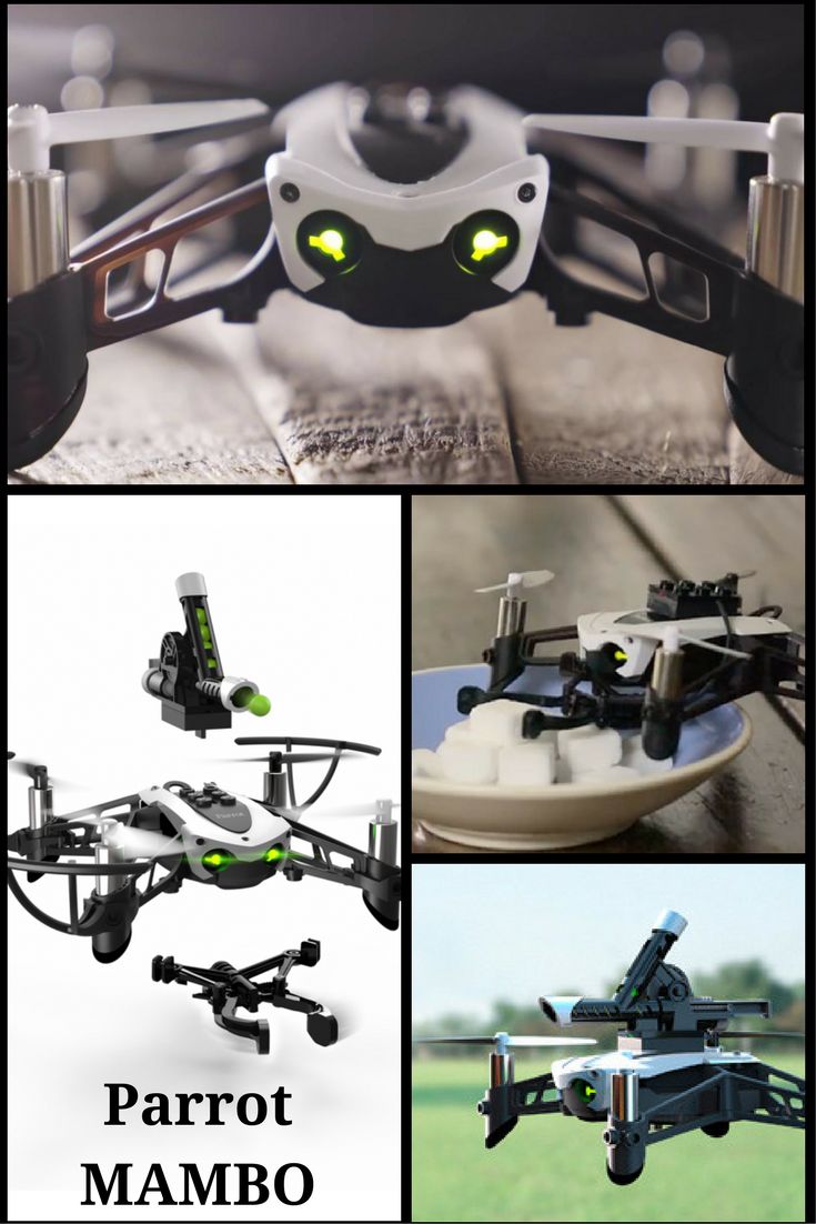 Mambo- One drone and two accessories for exceptional skills  The Parrot Mambo mi...