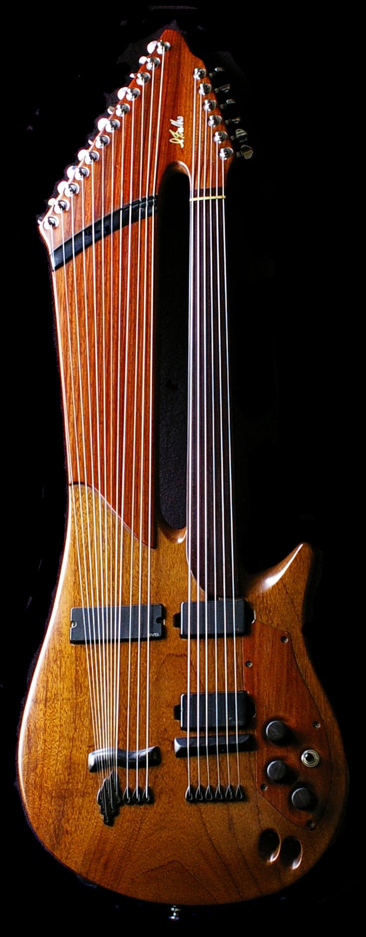 electric harp guitar... like the string-end holders and the inset wooden control...