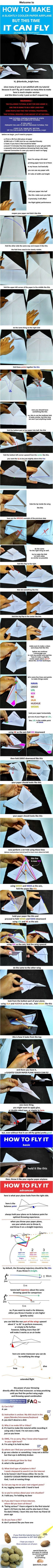 I heard you guys like a paper airplane which can actually fly