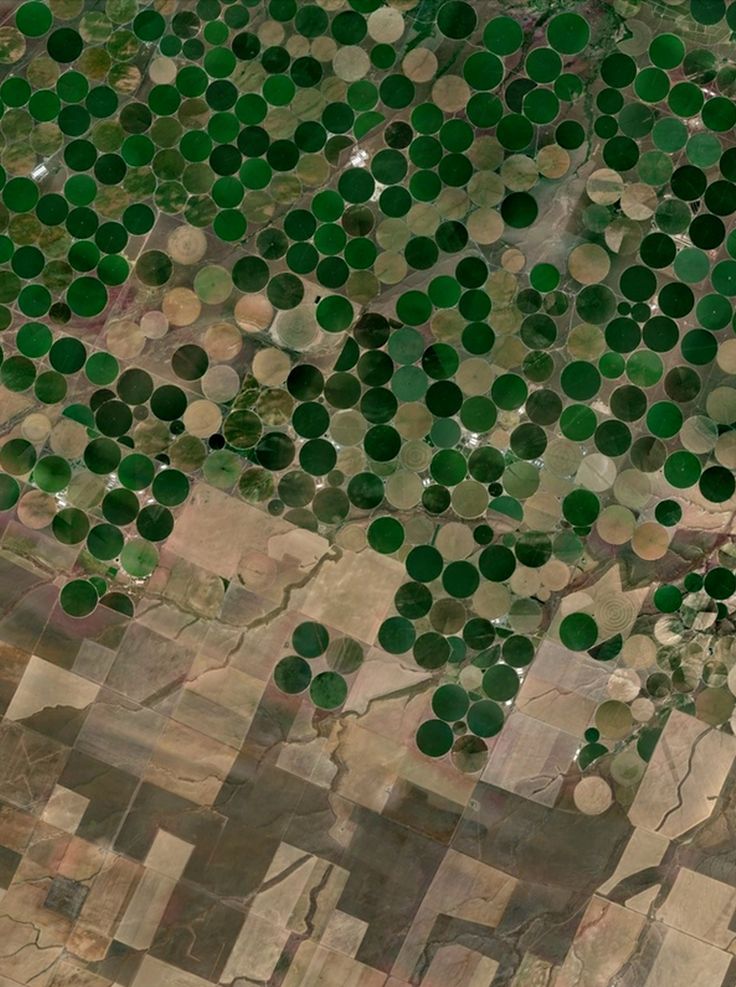 Pivot-irrigation fields - Plymouth, Washington, USA - Google Earth