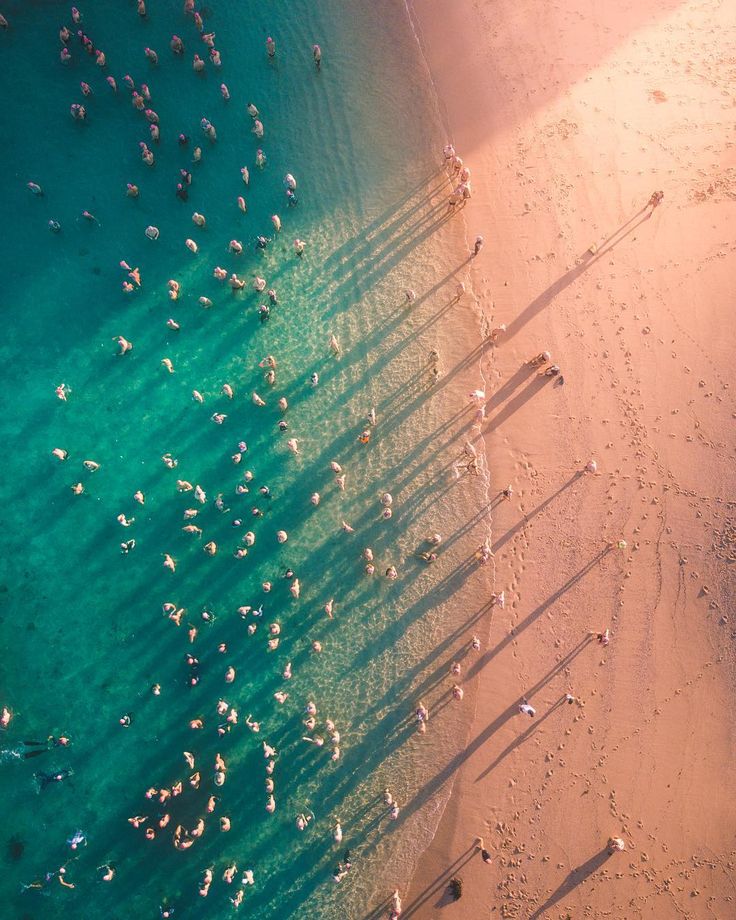Sydney’s Northern Beaches From Above by Shay Cooper #photography #travel #aeri...
