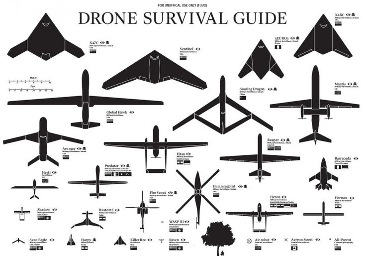 A Guide To Spotting And Hiding From Drones | Popular Science