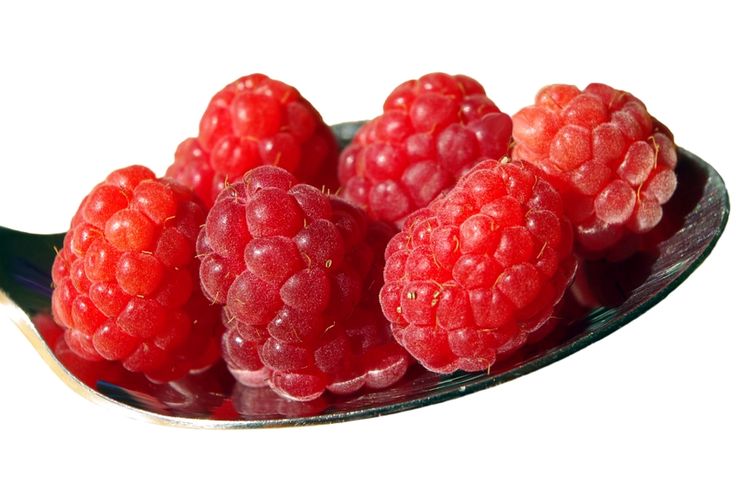 ARE RASPBERRY KETONES GOOD FOR WEIGHT LOSS?. are raspberry ketones good for weig...