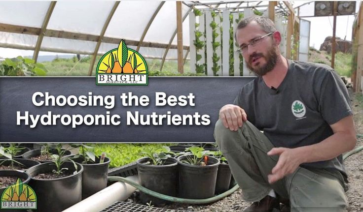The Best Hydroponic Nutrients For Your System === #nutrients #hydroponics #garde...