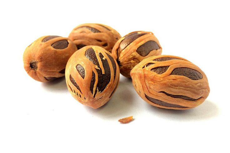 all-about-nutmeg-its-uses-benefits-and-side-effects