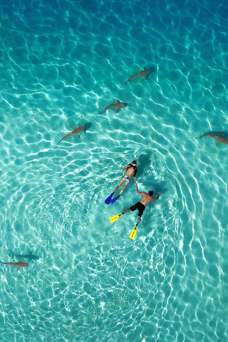International Drone Photography Contest Draws Some Of The Most Stunning Aerial S...