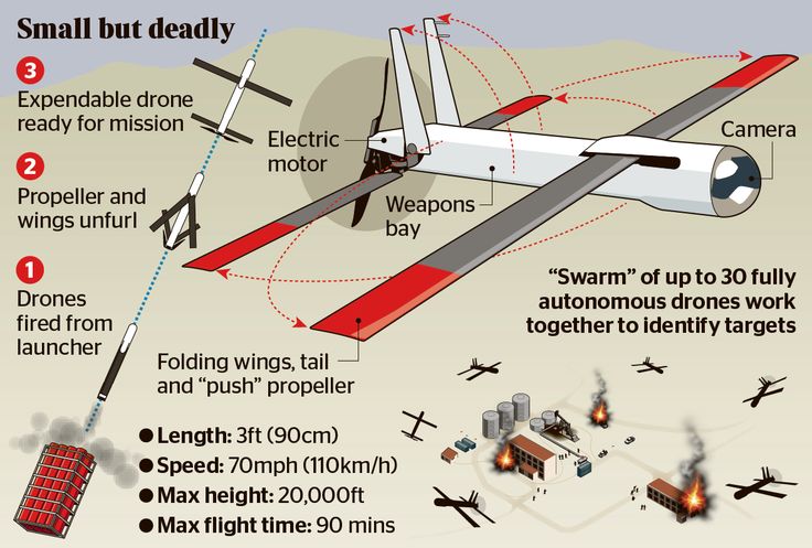 They form part of the Low-Cost Unmanned Aerial Vehicle Swarming Technology (Locu...