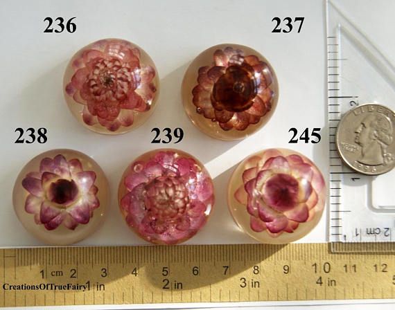 Caboshon pink purple Helichrysum flower round resin jewelry crafts supplies for ...