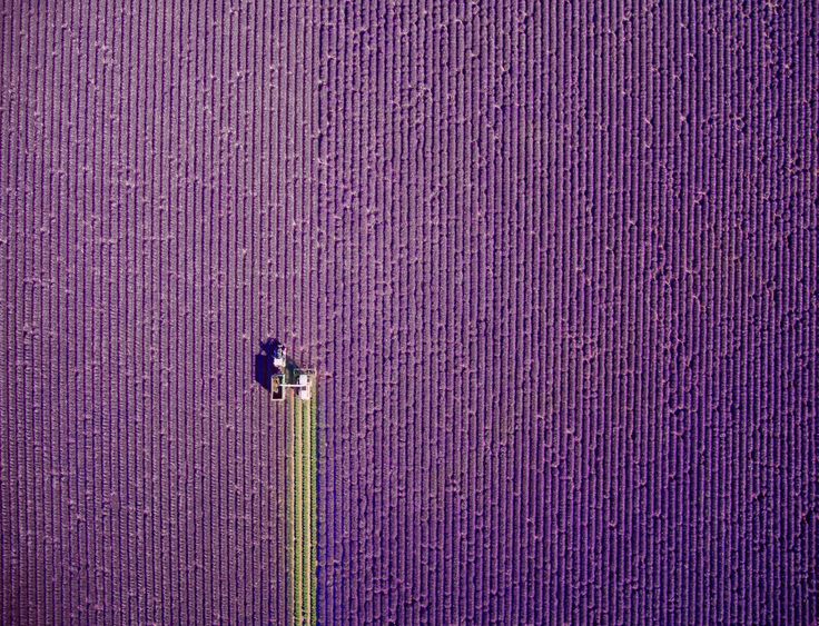 De 20 beste foto's met een drone van 2016 (natgeotravellernl) - reisfotograf...