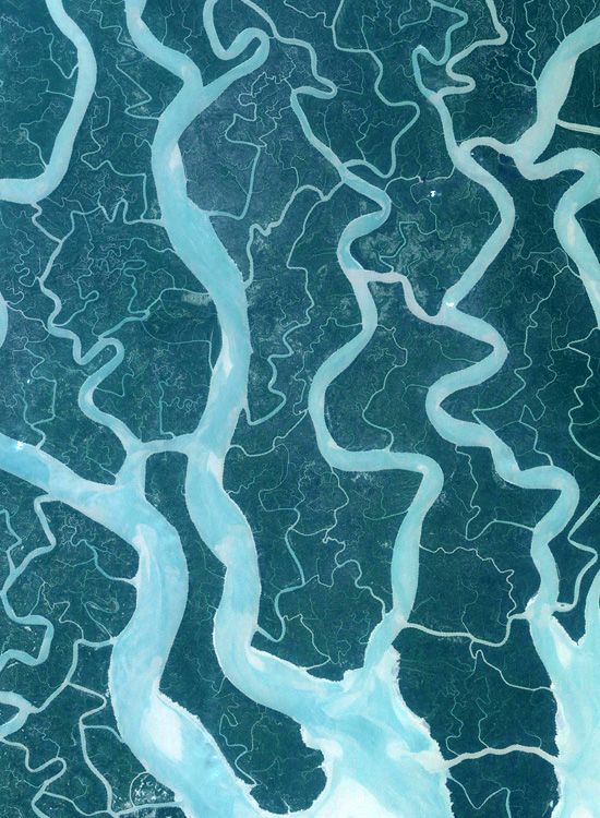 arial view of the Sundarban mangrove forest in India, the largest remaining mang...