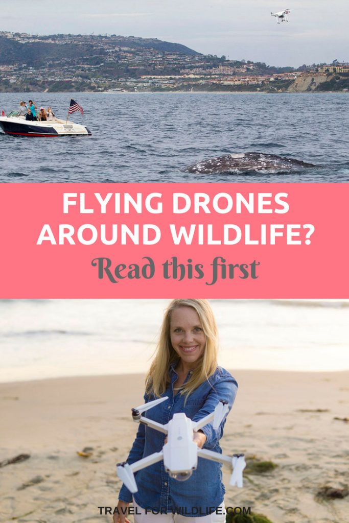 Are you an aerial photographer? Do you use drones in your travels? Be prepared i...
