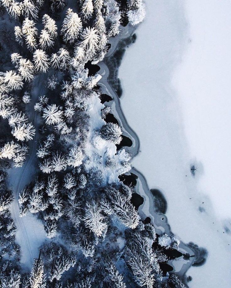 Forest and lake in winter, covered with snowfall. Aerial photography.