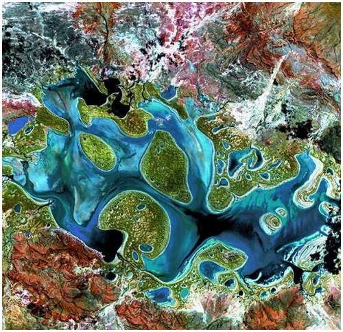 Satellite Image Carnegie, Australia | *it reminds me of a geode or an agate*