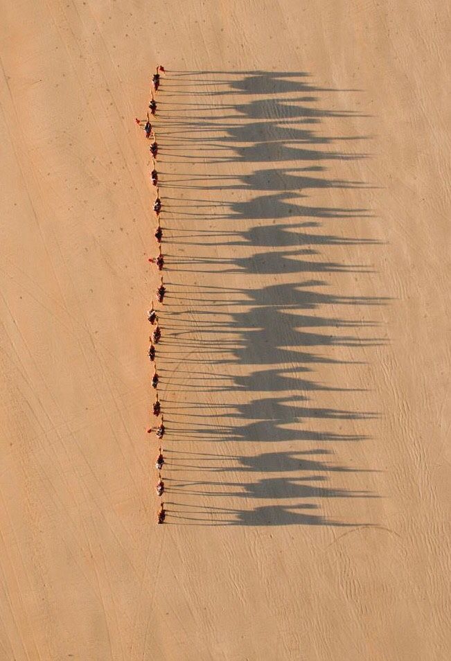 Camels in the desert - #Camels #desert - #Aerial - #diy #pins #christmas