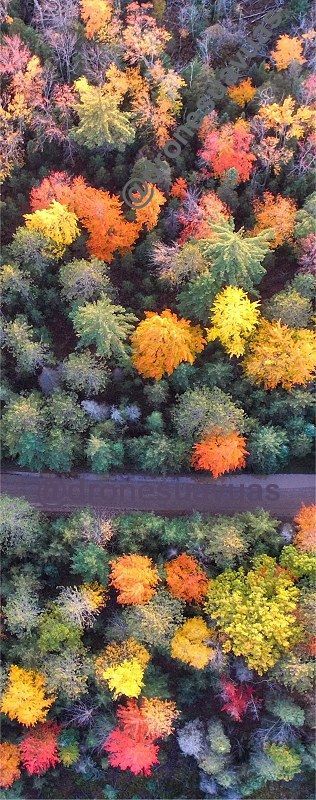 Aerial photography drone : Drone aerial photo autumn seasonal foliage drones on #twitter  #tweet #drone #drones #photo #photography