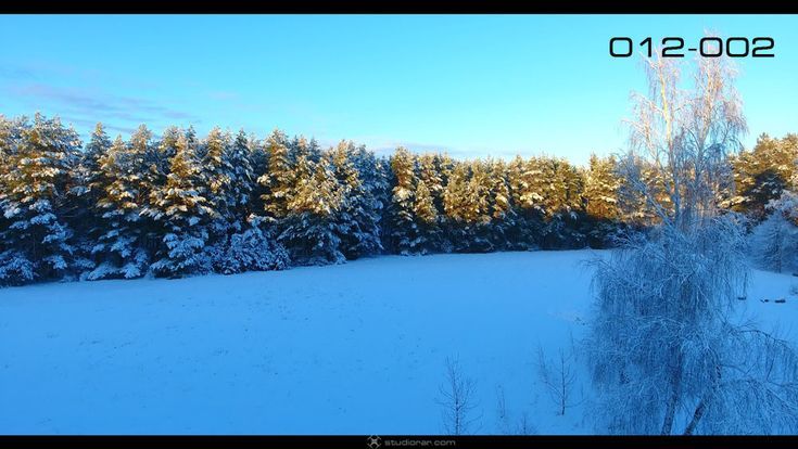 Aerial photography drone : Winter forest covered in snow  Drone Aerial Photography Videography Services