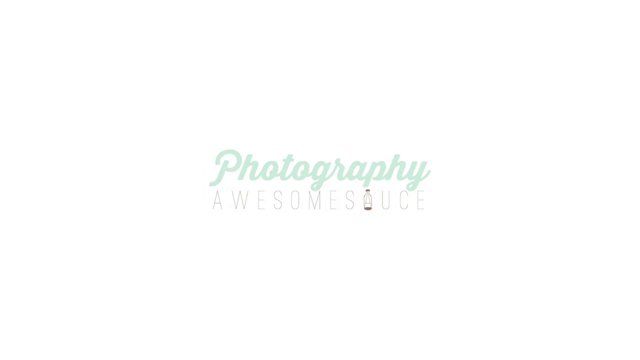 Photography Awesomesauce | Business Binder