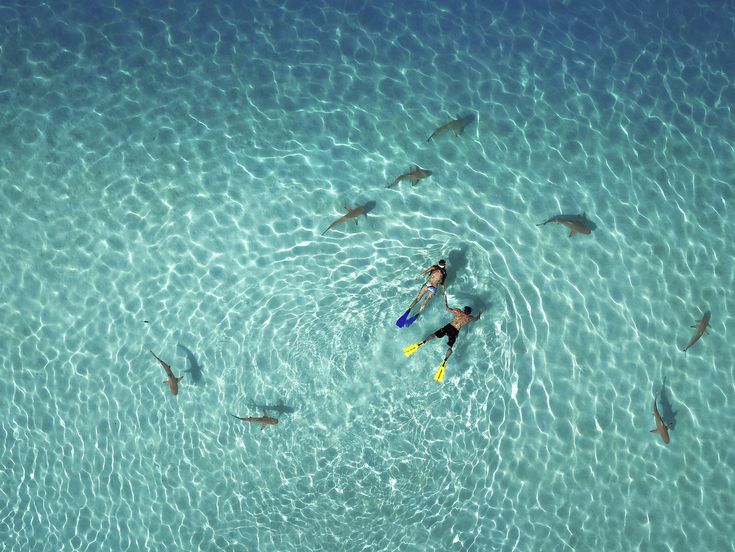 This Is the Year’s Best Drone Photography