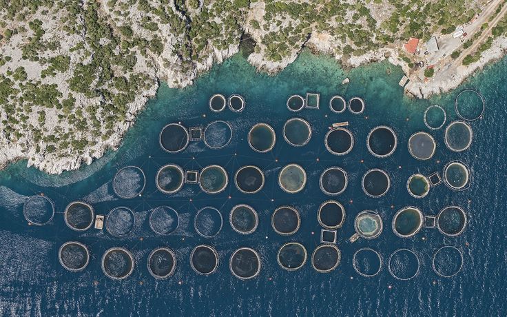 The Fantastic Geometry of Greece's Fish Farms 2000 Feet Up