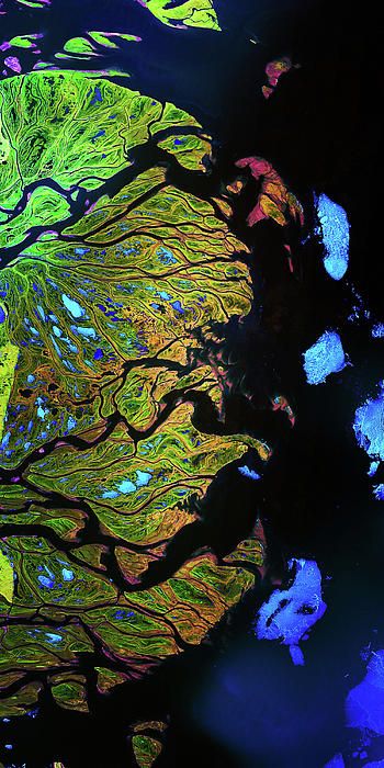Lena River Delta Russia - photographic print of images shot from satellite