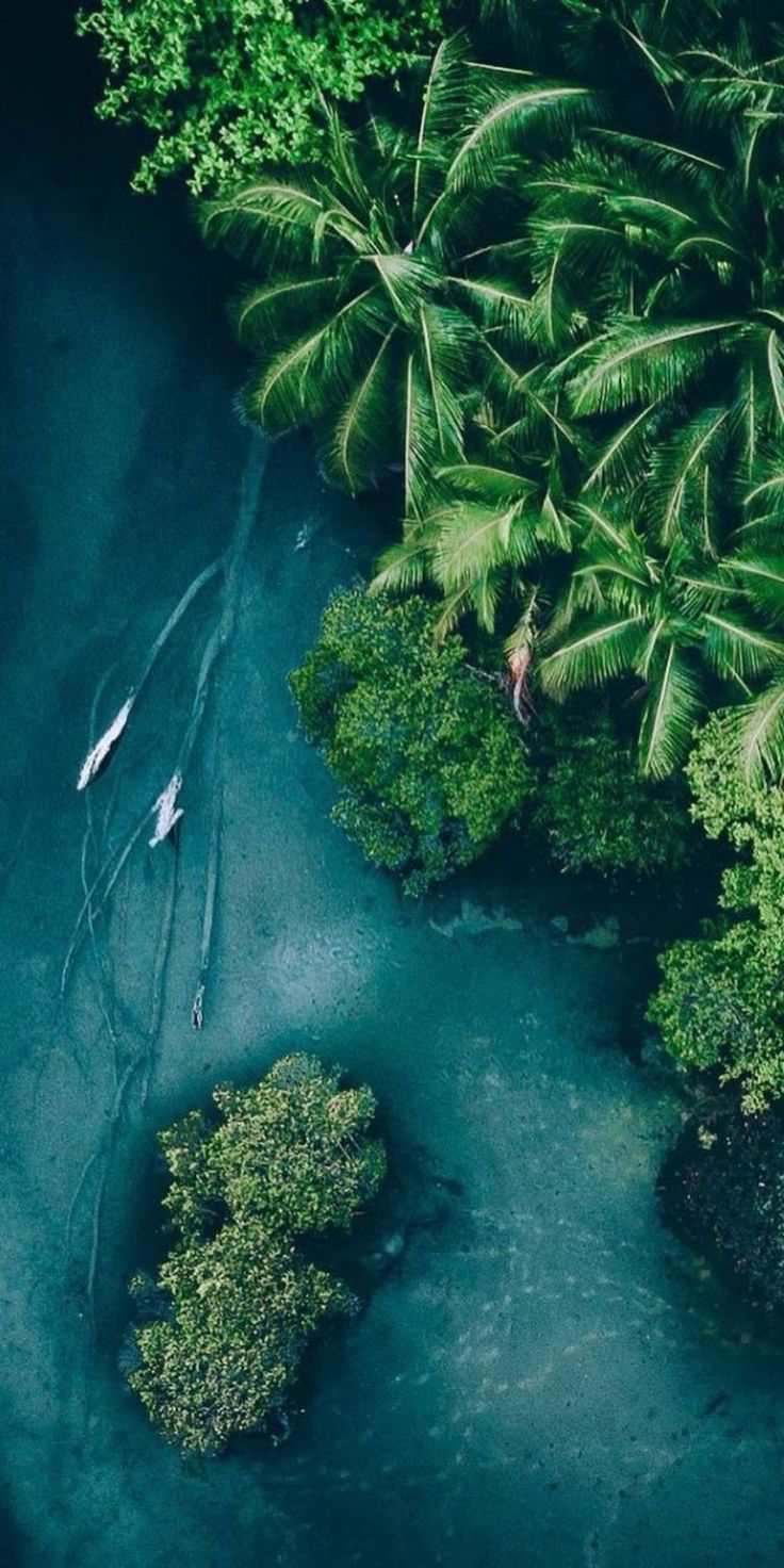 Stunning Overhead View Of Tropical Forests And Seas Aerialphotography Dronephoto Landscape Viewfroma