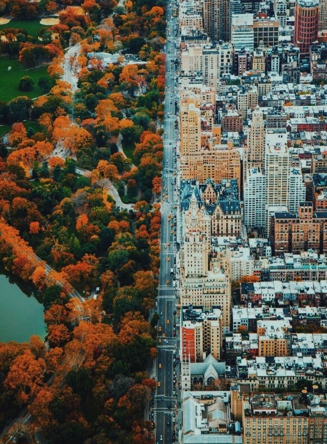 People Drone Photography : People Drone Photography : The hard line between the city and nature should be further explored to form a symbiosis amid healthy life and urban development. - DronesRate.com | Your N°1 Source for Drone Industry News & Inspiration