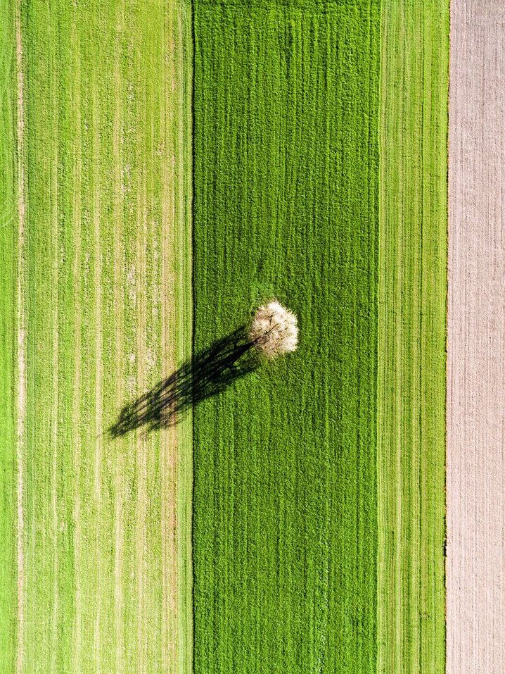 15 Beautiful Drone Photos That Leave Us Speechless