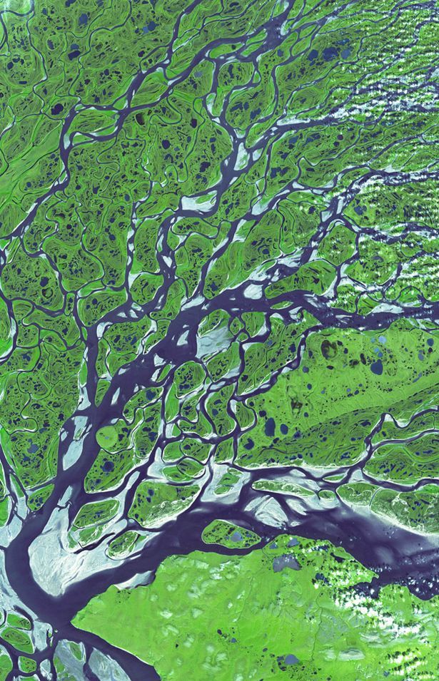 River wild: Beautiful pictures trace river deltas from above