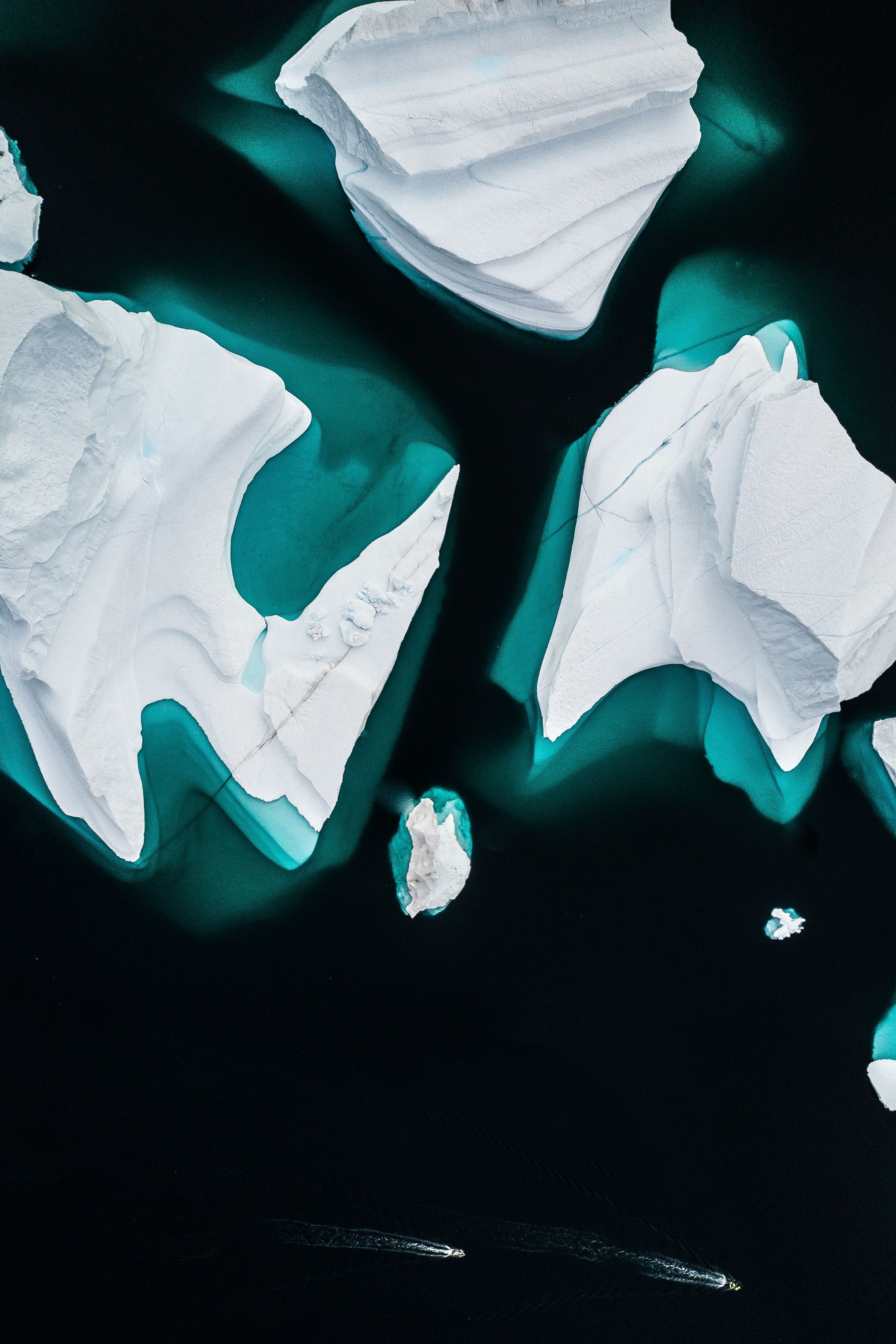 Greenland Icebergs 