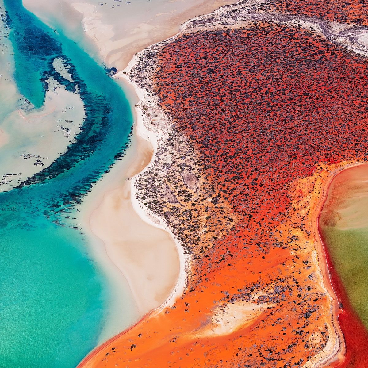Interview: Capturing Naturally Organic Formations of Australia’s Shark Bay From Above