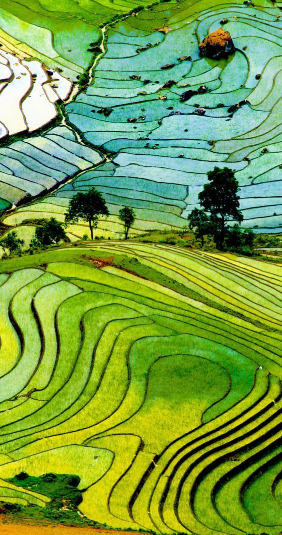 Vietnam Famous Destinations: Sapa rice tarrace is top 30 of natural beauty in the world