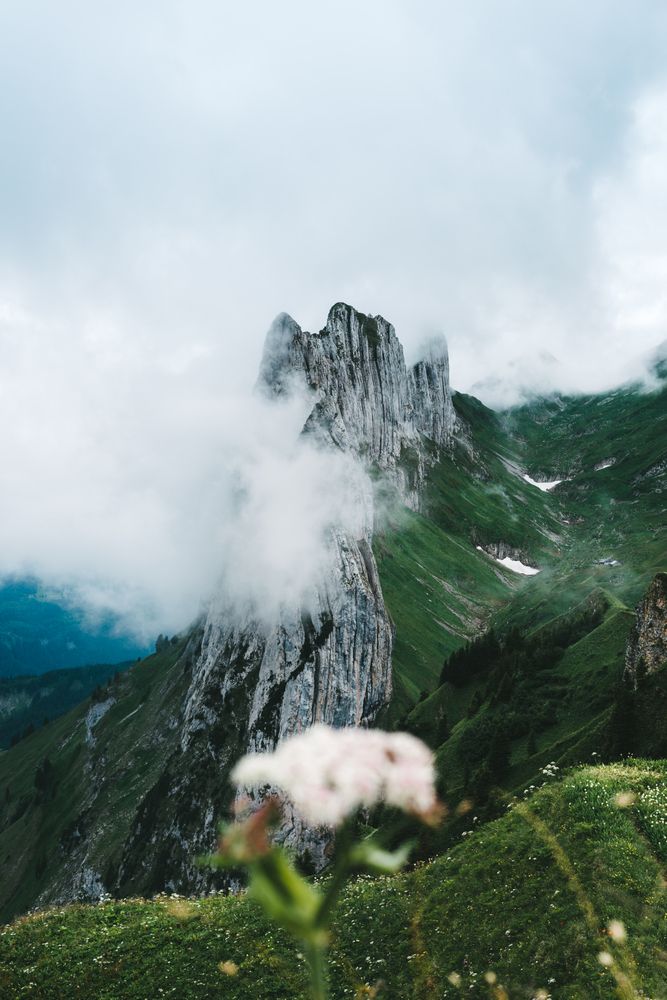 Flower Mountain in Switzerland - Landscape Photography Art Print by regnumsaturni
