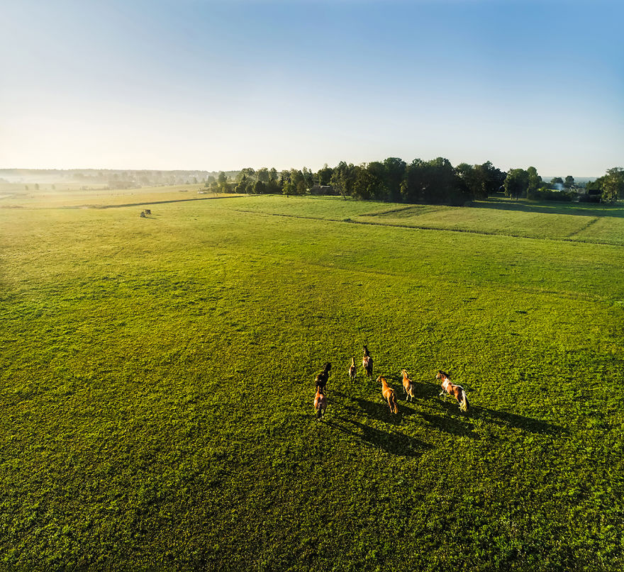 I Capture Wild Animals And Stunning Landscapes In Lithuania Using My Drone (22 Pics)