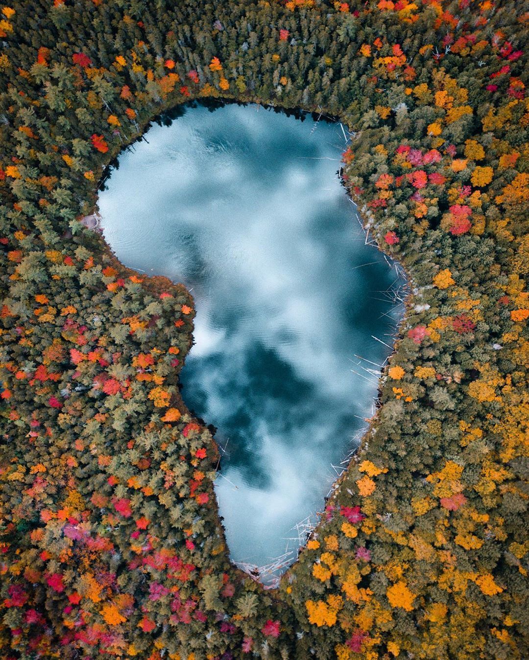 RYAN RESATKA on Instagram: “One of my favorite random ponds I’ve ever droned 😛 The sky reflection was quite nice. I flew my drone around until I spotted something…”