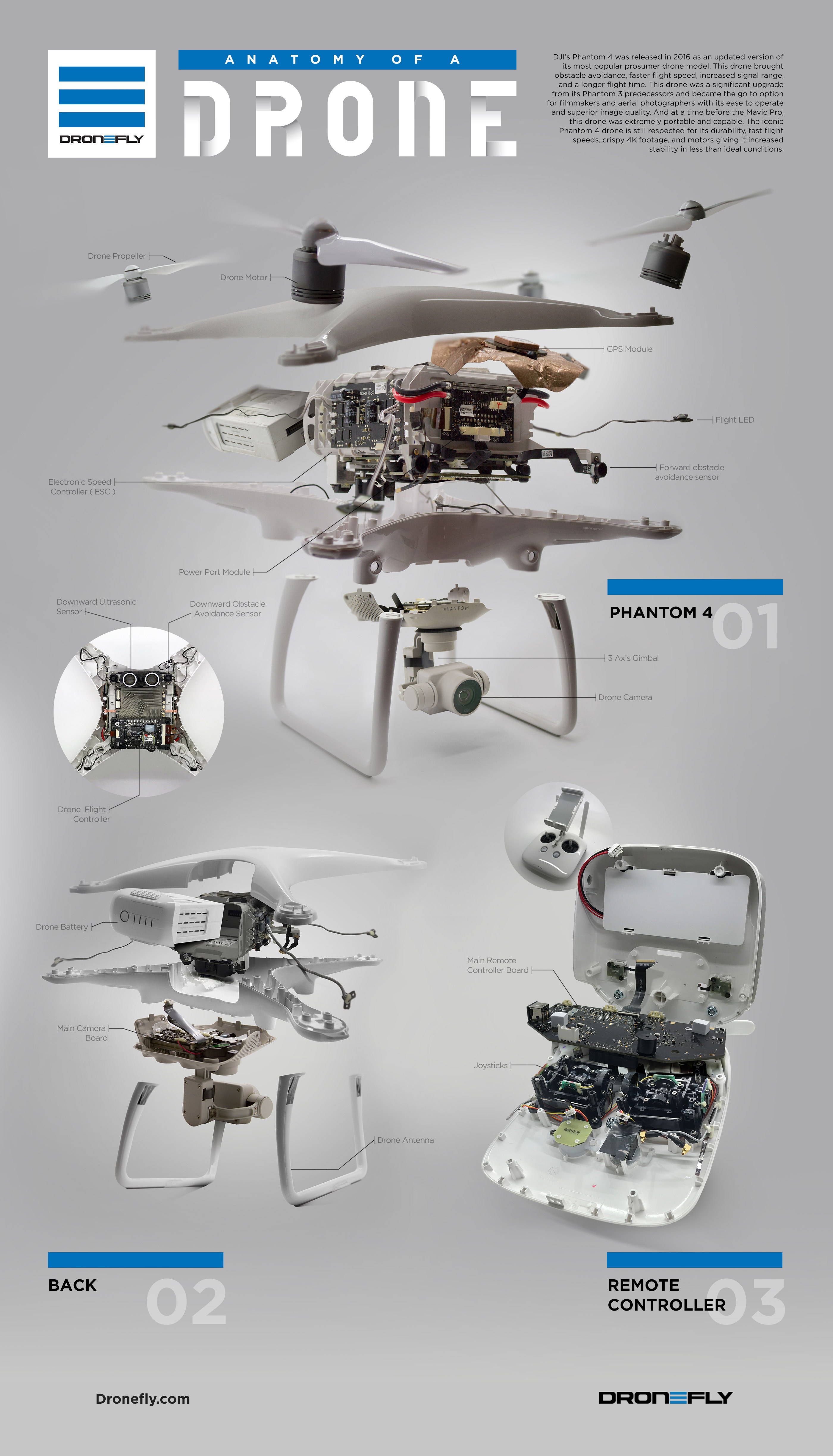 Anatomy of a Drone Infographic