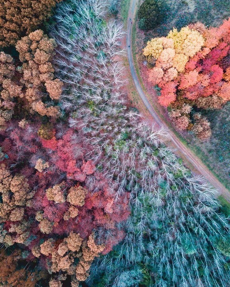 Landscape Drone Photography : Australia From Above: Magnificent Drone Photography by Peter Yan #inspiration #p... - DronesRate.com | Your N°1 Source for Drone Industry News & Inspiration