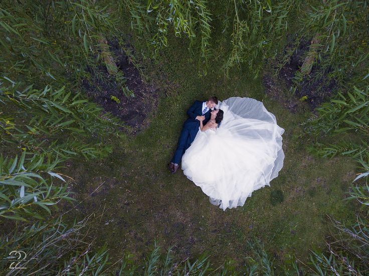 Fantastic Wedding Underneath a Willow Tree in Dayton, Ohio